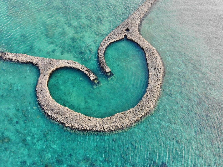 澎湖外送茶