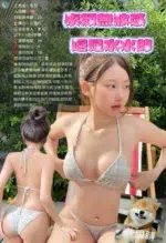 雲林定點茶-禾羽/158/46/?/D