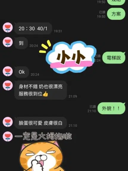 桃園定點茶-小小/155/42/20/D