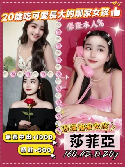 桃園定點茶-莎菲亞/160/42/20/D