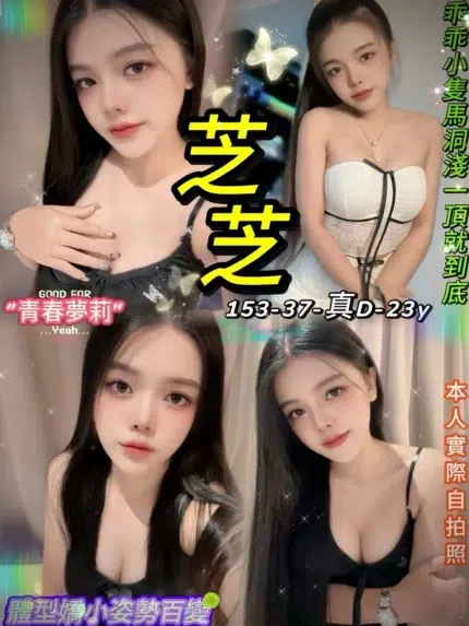 台北定點茶-芝芝/153/37/23/D