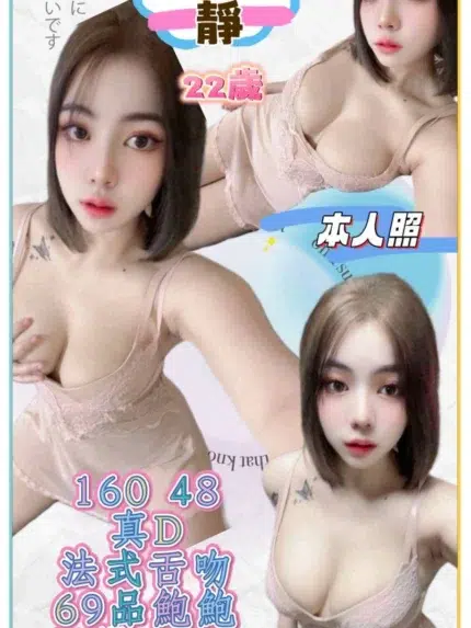 新北定點茶-衫靜/160/48/22/D