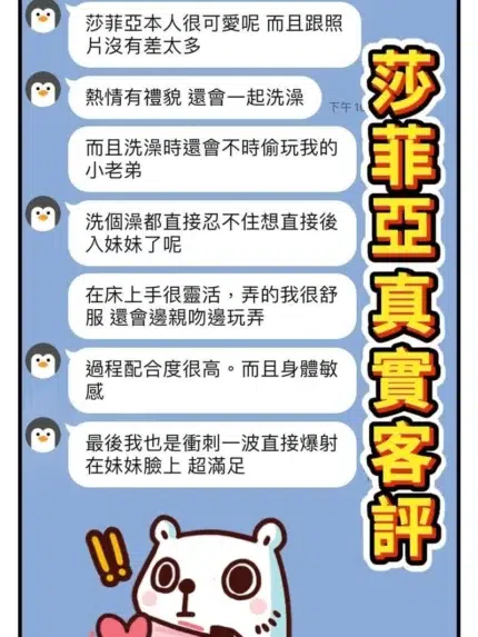 桃園定點茶-莎菲亞/160/42/20/D