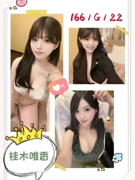 台北外送茶-桂木唯香/166/?/22/G