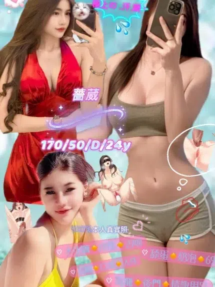 新北定點茶-薔葳/170/50/24/D