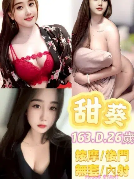 新北定點茶-甜葵/163/50/26/D