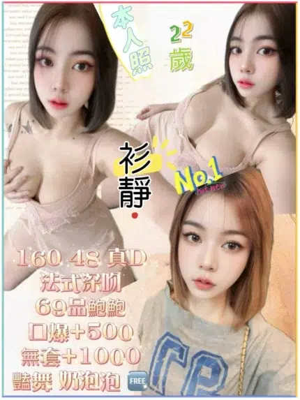 新北定點茶-衫靜/160/48/22/D