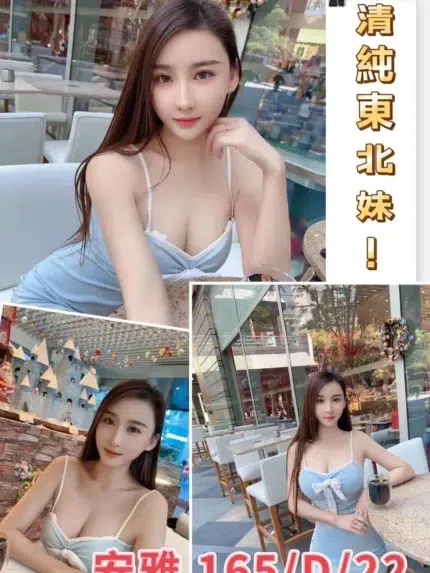 台北外送茶-安雅/165/?/22/D