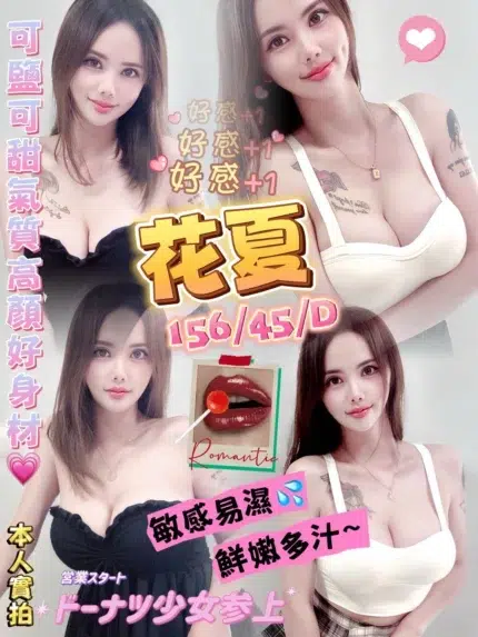 澎湖定點茶-花夏/156/45/?/D