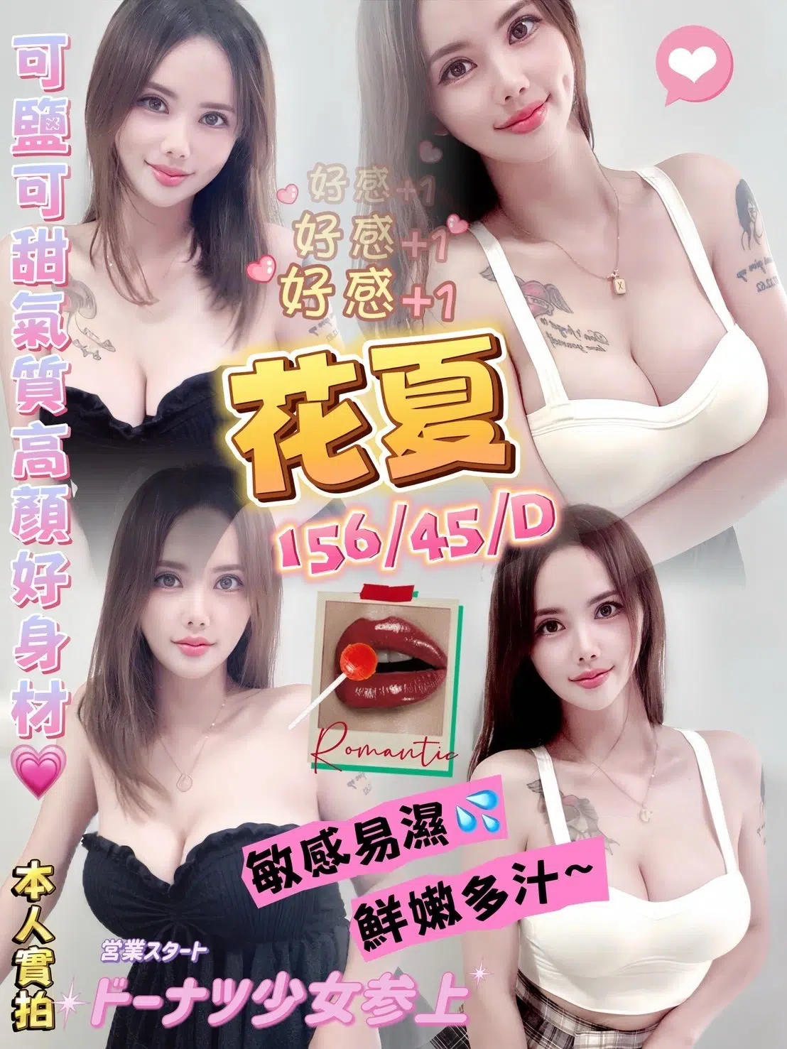 澎湖定點茶-花夏/156/45/?/D 澎湖定點茶-花夏/156/45/?/D