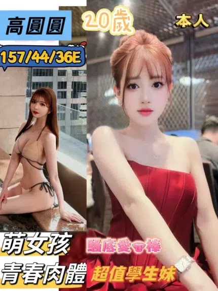 台南定點茶-高圓圓/157/44/20/E