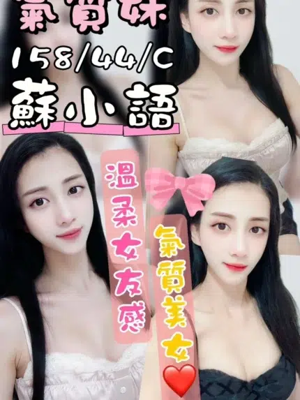 台中定點茶-蘇小語/158/44/?/C