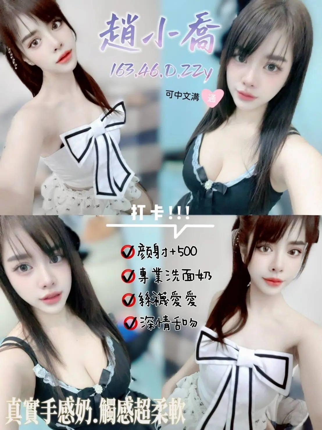 桃園定點茶-趙小喬/163/46/22/D 桃園定點茶-趙小喬/163/46/22/D