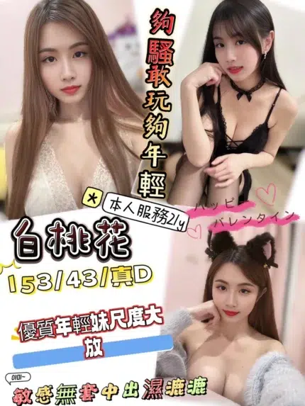 新竹定點茶-白桃花 /153/43/21/D