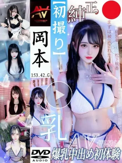 新北定點茶-岡本/153/42/?/G