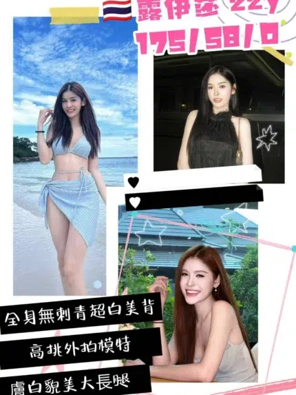 桃園定點茶-露伊莎/175/48/22/D