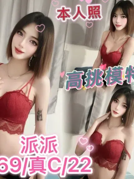 台中定點茶-派派/169/?/22/C
