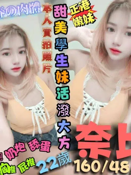 高雄定點茶-奈比/160/48/22/D