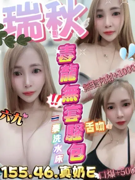 新竹定點茶-瑞秋/155/46/?/E