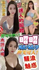 屏東定點茶-昭昭/168/48/?/D
