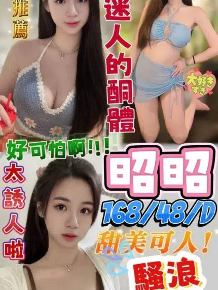 屏東定點茶-昭昭/168/48/?/D