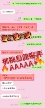 南投定點茶-桃桃烏龍/157/48/?/E