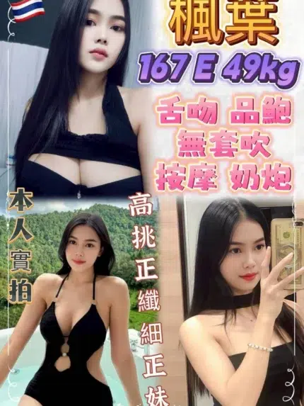 新北定點茶-楓葉/167/49/23/E