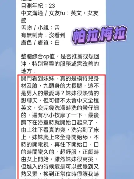 高雄定點茶-帕拉梅拉/166/43/21/D
