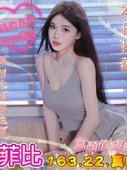 台中外送茶-菲比/163/?/22/D