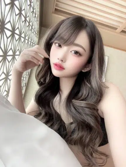 台南定點茶-藤沙妃/157/43/21/D