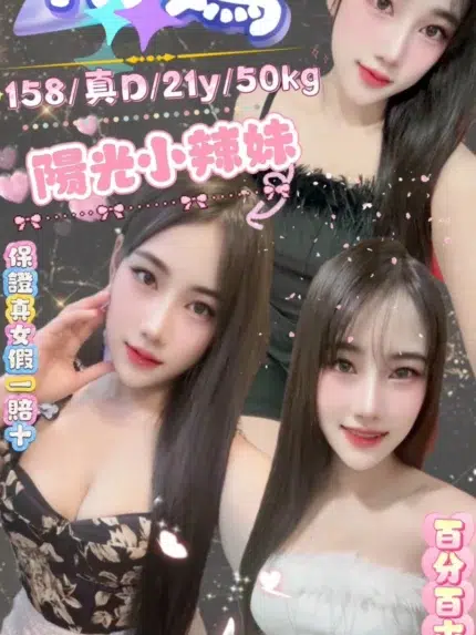 新北定點茶-花嫣/158/50/21/D