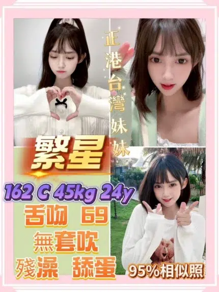 台北定點茶-繁星/162/45/24/C