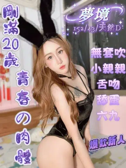 高雄定點茶-夢境/152/43/20/D