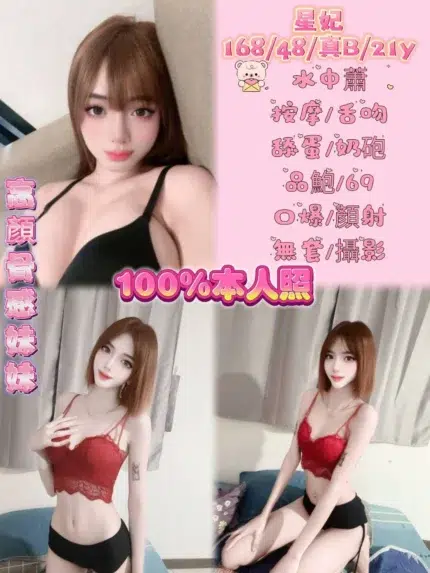 新北定點茶-星妃/168/48/21/B