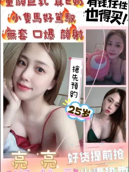 苗栗定點茶-亮亮/167/44/25/E