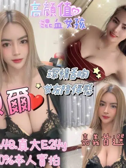 嘉義定點茶-貝爾/156/48/24/E