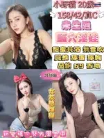 台北定點茶-小野貓/158/42/20/C