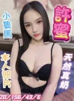 台中定點茶-許蜜/156/43/20/E