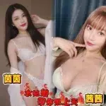 台南定點茶-茜茜/165/50/25/D