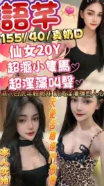 新竹定點茶-語芊/155/40/20/D