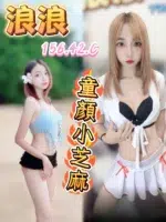 台中定點茶-浪浪/156/42/?/C