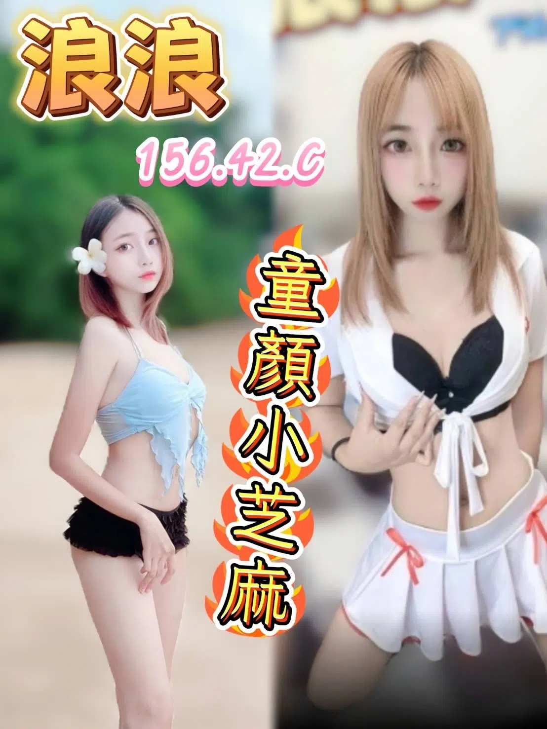 台中定點茶-浪浪/156/42/?/C 台中定點茶-浪浪/156/42/?/C