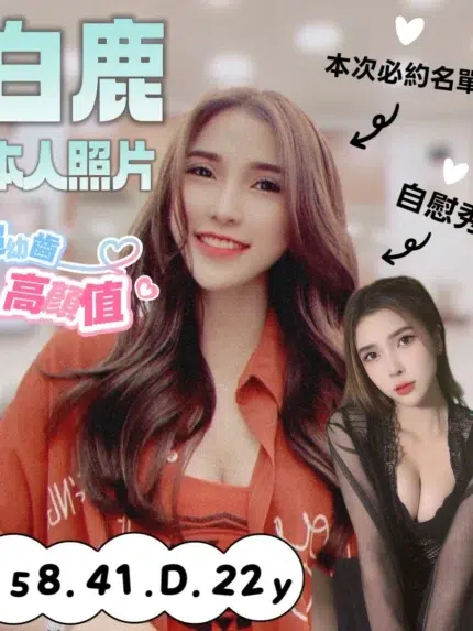 台南定點茶-白鹿/158/41/22/D