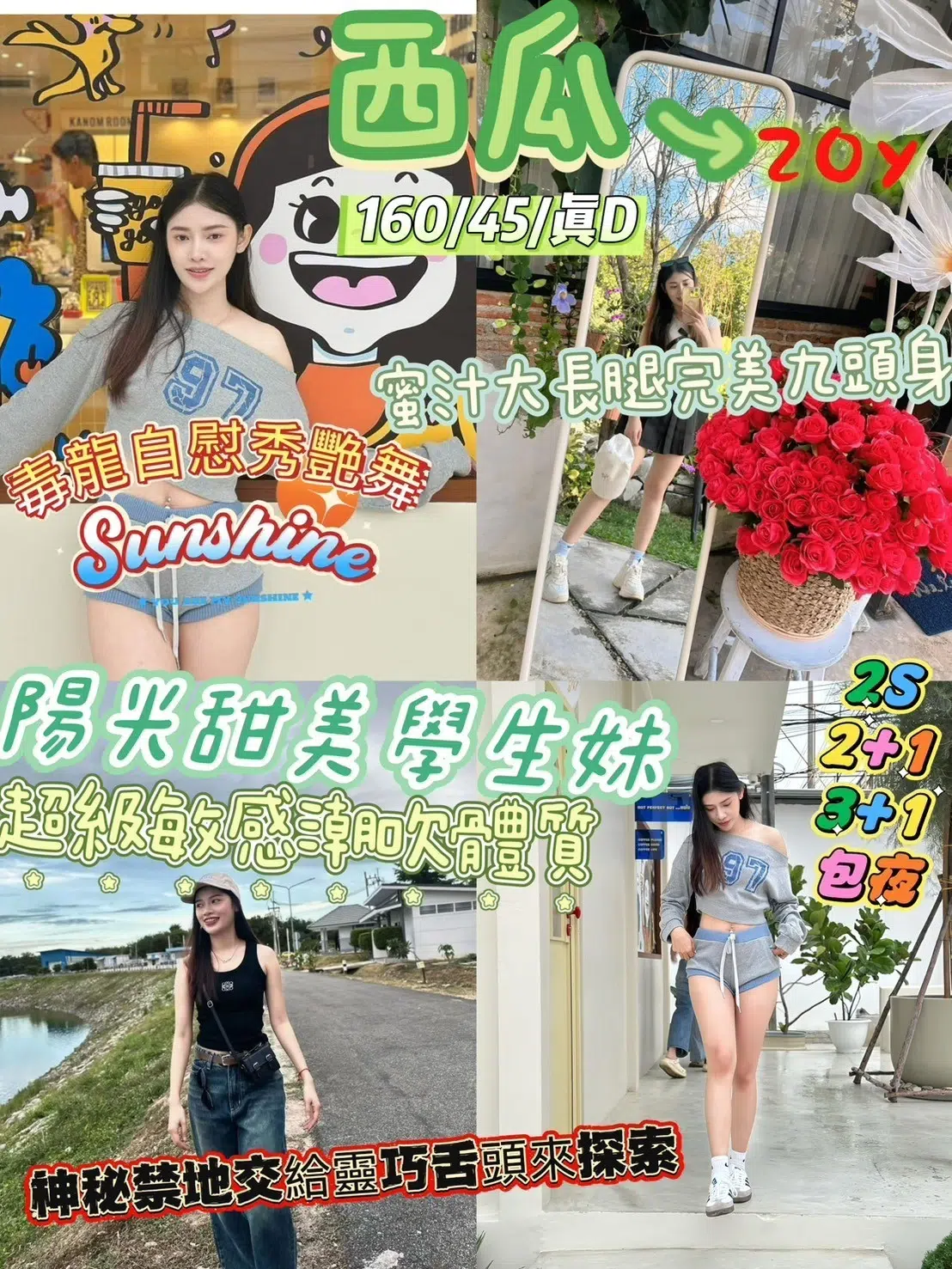 新竹定點茶-西瓜/160/45/20/D 新竹定點茶-西瓜/160/45/20/D