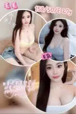 新竹定點茶-毛毛/158/50/27/E