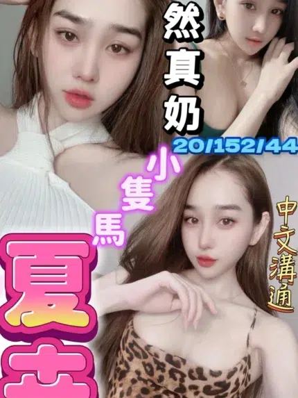 台中定點茶-夏卉/152/44/20/E