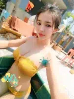 嘉義定點茶-Nico/150/47/22/E