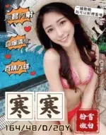 桃園外送茶-寒寒/164/48/20/D