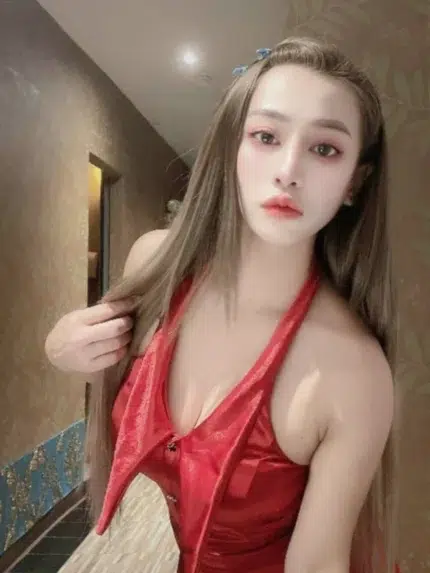 彰化定點茶-童童/150/46/25/D