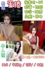 台北定點茶-蛋捲/160/45/25/C